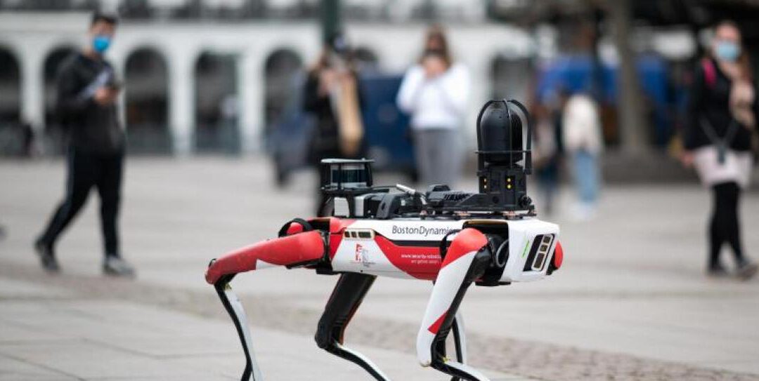 Roboter in Hunde-Form sorgt in Hamburg für Erstaunen 