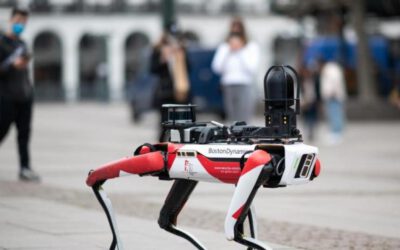 Roboter in Hunde-Form sorgt in Hamburg für Erstaunen 