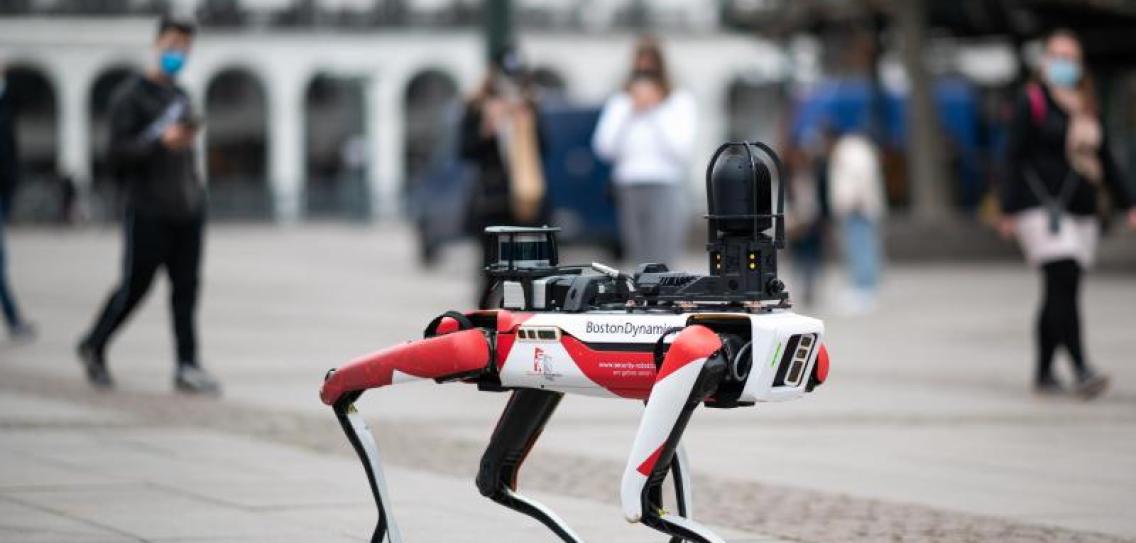 Roboter in Hunde-Form sorgt in Hamburg für Erstaunen